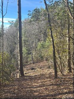 Lot 13 Saratay Falls Drive, Cashiers NC 28717