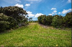 Mangawhai Point