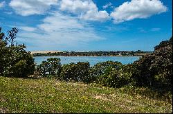 Mangawhai Point