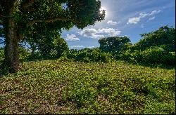 Picturesque 1.2-Acre Lot in Puerto Ferro, Vieques