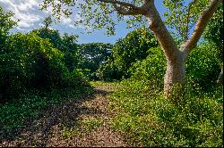 Picturesque 1.2-Acre Lot in Puerto Ferro, Vieques