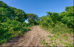 Picturesque 1.2-Acre Lot in Puerto Ferro, Vieques