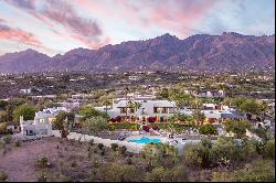 Luxury Property Auction | Catalina Foothills in Tucson Arizona