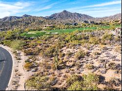 Saguaro Forest Lot 65