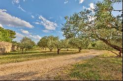 Pont du Gard - Nimes -  Avignon -  Propriete historique restauree