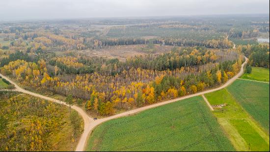 10,54 ha of land in Tinuzu parish, Ogre municipality