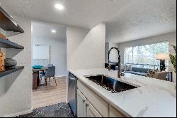 Two Bedroom Newly Remodeled Condo in the Heart of Oak Lawn