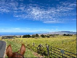 Alulike Street, Kamuela, HI, 96743