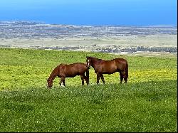 Alulike Street, Kamuela, HI, 96743