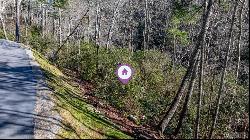 Lot 19 Saratay Falls Drive, Cashiers NC 28717