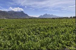 Franschhoek Rural Lifestyle Property, Franschhoek Rural, Franschhoek, Western Cape, 7690