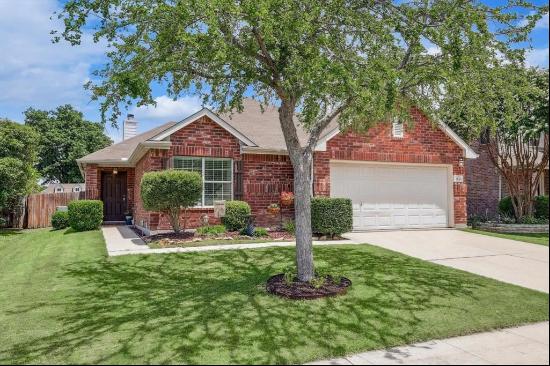 1501 Morning Dove, Aubrey TX 76227