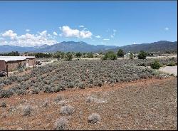 TBD Paseo del Canon East, Taos NM 87571