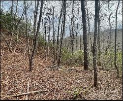 TBD Big Oak Springs Road, Sylva NC 28779