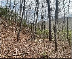 TBD Big Oak Springs, Sylva NC 28779