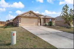 254 Screech Owl Dr, Kyle TX 78640