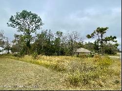 Golden Warbler Rd, Brooksville FL 34613