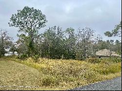 Golden Warbler Rd, Brooksville FL 34613