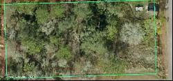 Golden Warbler Rd, Brooksville FL 34613