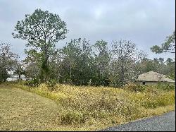 0 Golden Warbler Rd, Brooksville FL 34613