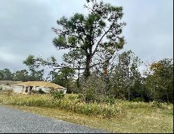 0 Golden Warbler Rd, Brooksville FL 34613