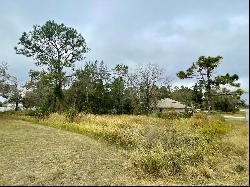 0 Golden Warbler Rd, Brooksville FL 34613