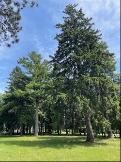 580 West Bluff Parcel A, Harbor Springs MI 