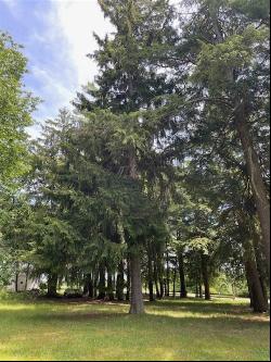 580 West Bluff Parcel A, Harbor Springs MI 