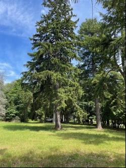 580 West Bluff Parcel A, Harbor Springs MI 