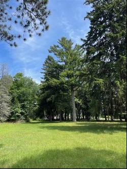 580 West Bluff Parcel A, Harbor Springs MI 