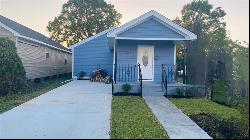 1317 Atlantic Avenue, New Orleans LA 70114