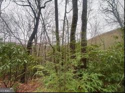 Lot 17 Ridgepole Drive, Sky Valley GA 30537