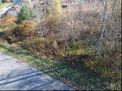 Lot 148 Chinook Street, Richland NY 13142