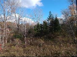 Lot 148 Chinook Street, Richland NY 13142