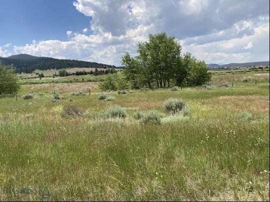 Lot 3 TBD Stonecrop Road, Butte MT 59701