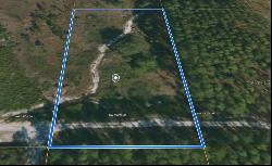 SW 157th Lane, Dunnellon FL 34432