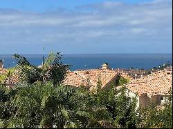 3 Monaco, Dana Point CA 92629