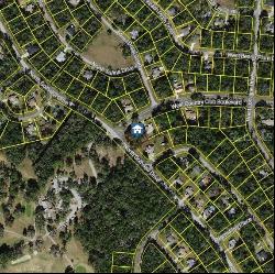 8695 N Golfview Drive, Citrus Springs FL 34434