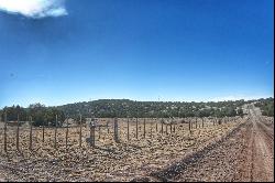 Sierra Verde Ranch