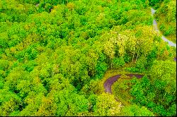 BOONE - TIMBER RIDGE AT THE COVES