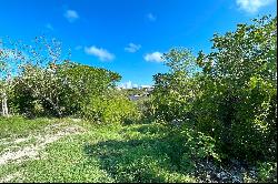 Discovery Bay Ocean View Lot