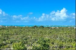 Discovery Bay Ocean View Lot