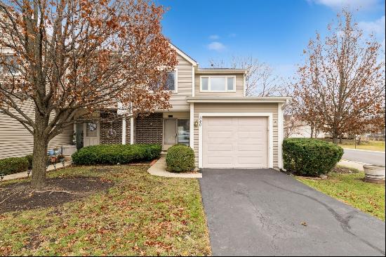 340 E Forest Knoll Drive, Palatine IL 60074