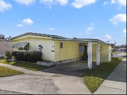 115 Palm Drive, Eustis FL 32726