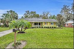 4052 Lake Eleanor Drive, Mount Dora FL 32757