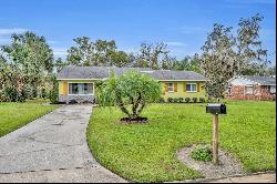 4052 Lake Eleanor Drive, Mount Dora FL 32757