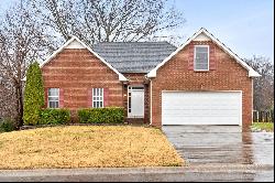 3345 Sunny Slope Dr, Clarksville TN 37043