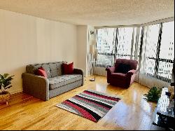 405 N Wabash Avenue #1702, Chicago IL 60611