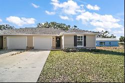 444 Fahnstock Street, Eustis FL 32726