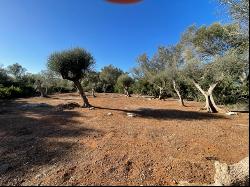 Rural plot with project for a house with pool for sale in Felani, Felanitx 07200